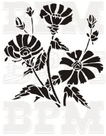 /album/fotogaleria-kvety-stromy/kvety-37-jpg/